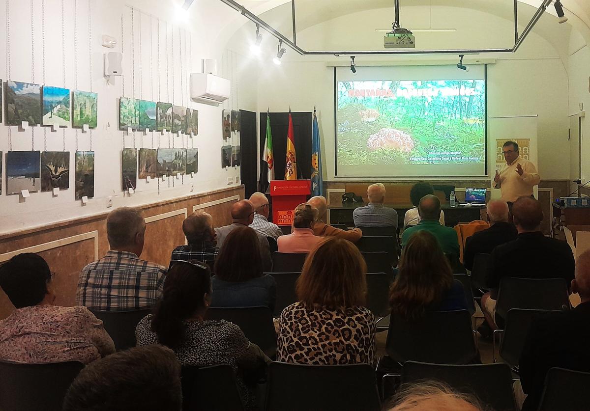 Una exposición en el Jardincillo abrirá el día 8 las XXVII Jornadas Micológicas