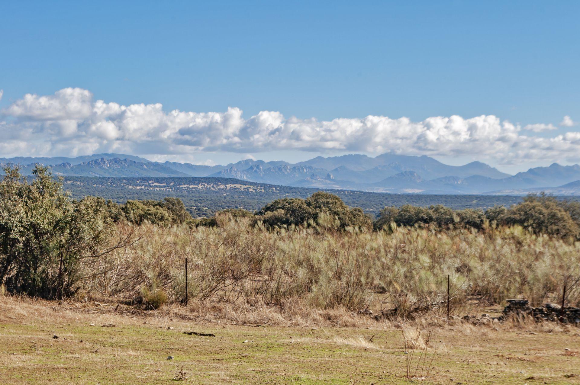 Caminar entreparques