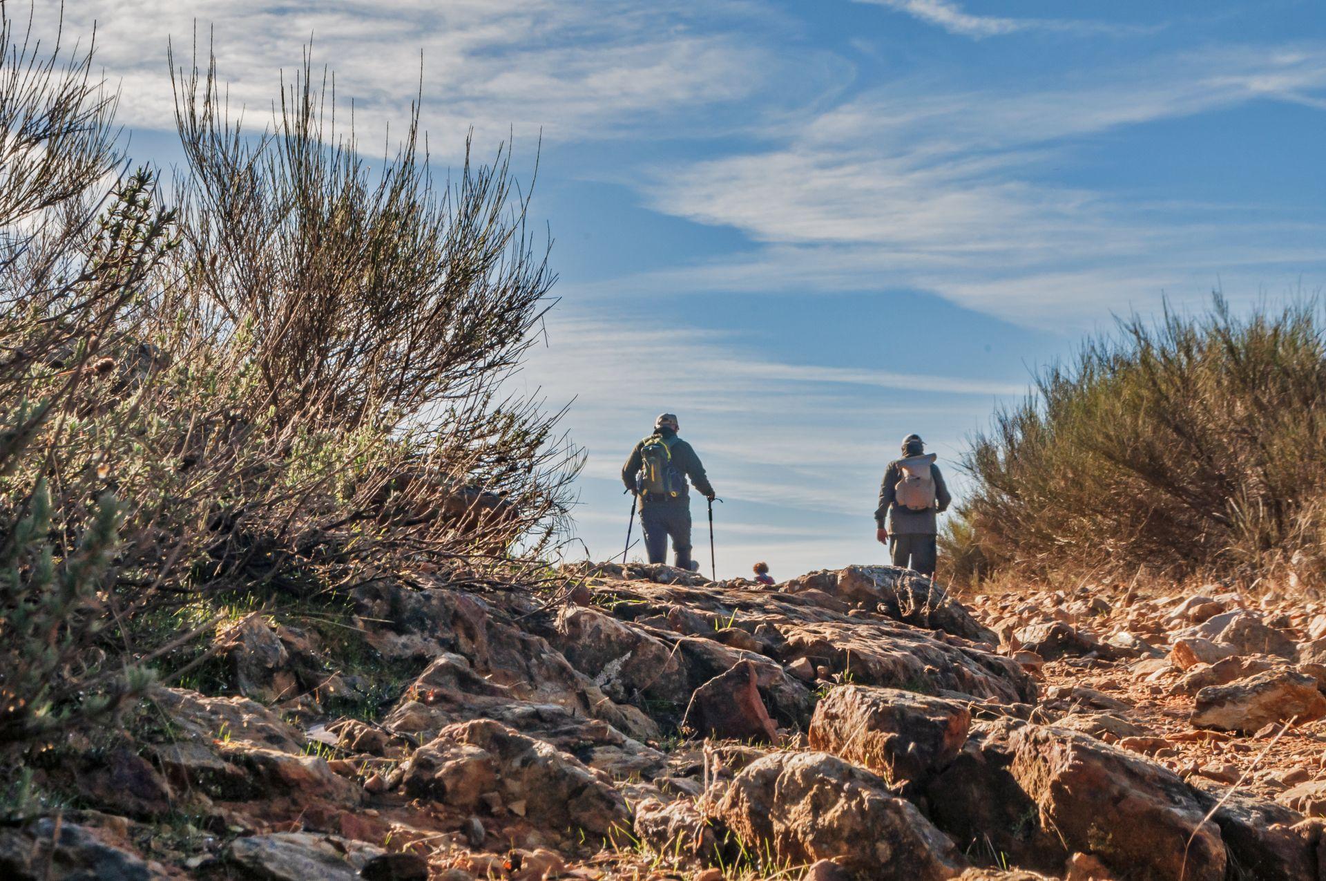 Caminar entreparques
