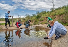 GeoCentro Monfragüe oferta dos programas de actividades