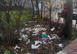 La imagen que ofrece este espacio no puede ser más lamentable