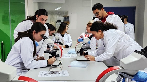 El instituto Albalat inicia el año con dos proyectos de innovación