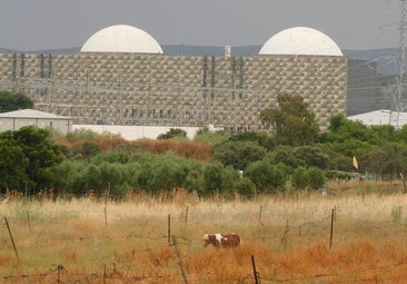 La economía de la comarca no depende de Almaraz