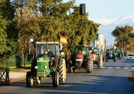 Tractores llegando a Navalmoral desde Rosalejo