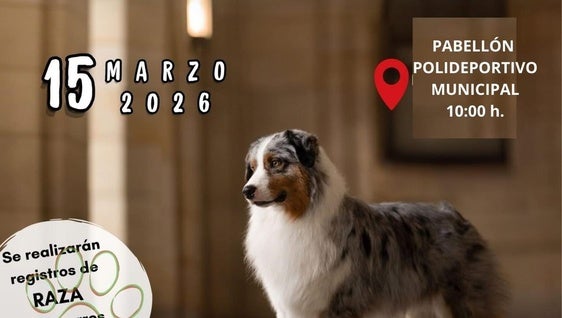 El pabellón del Molinillo acogerá el domingo el I Concurso Nacional Canino