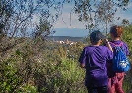 Hasta el día 19 estará abierto el plazo de inscripción en la IV Ruta Violeta