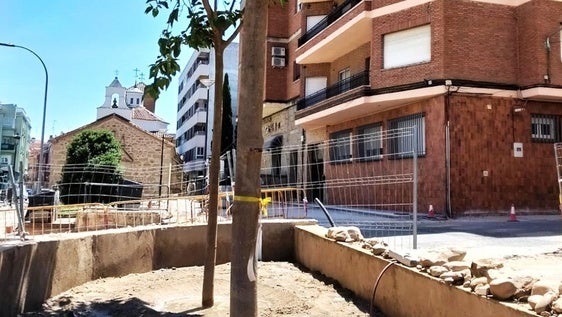 Comienzan los trabajos de repoblación del arbolado en la avenida de las Angustias