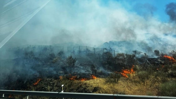 Los cerros sufren el primer incendio del verano