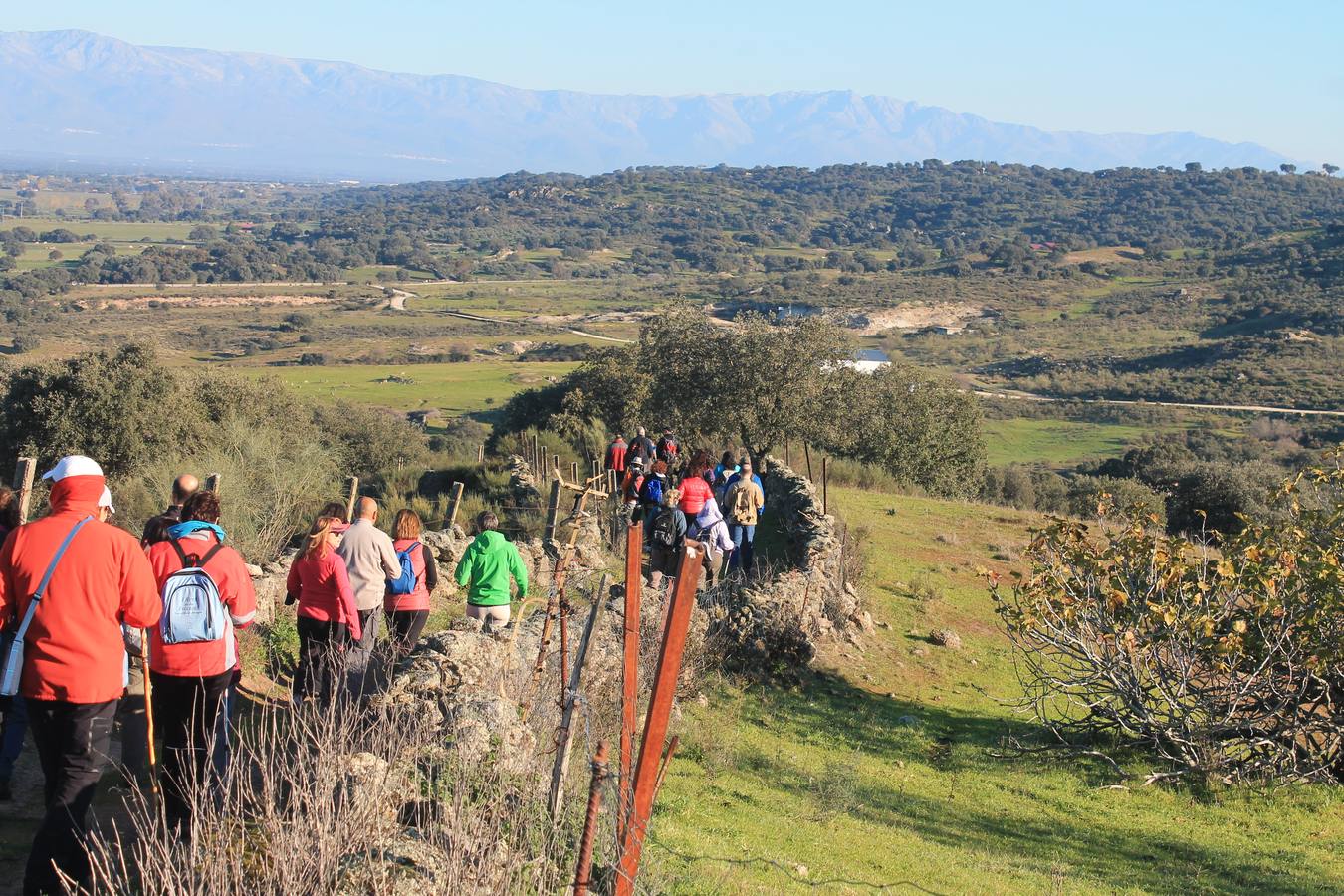 Los senderistas en la última salida de 2015 en Belvís de Monroy 