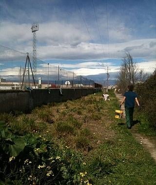 La basura acumulada desborda a los participantes en la limpieza promovida por Ecologistas en Acción