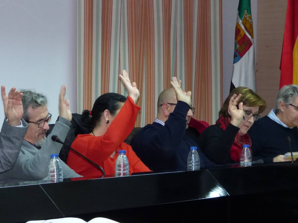 Votación del grupo popular en el pleno 