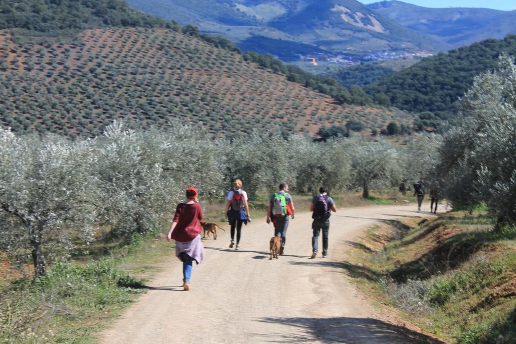 Los senderistas del CECA irán el domingo de Casar de Palomero a La Pesga