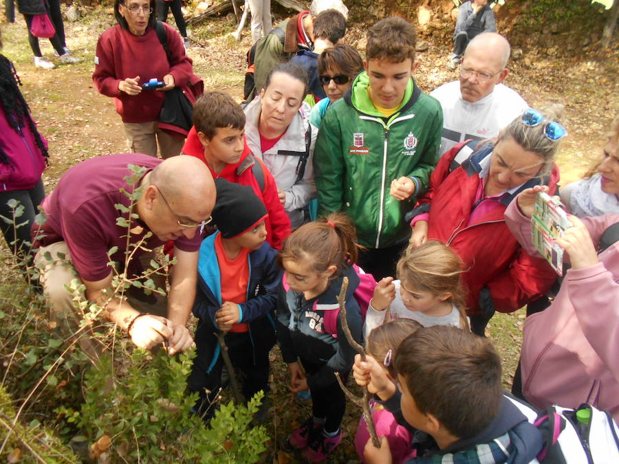 Actividades del Otoño en Higuera 