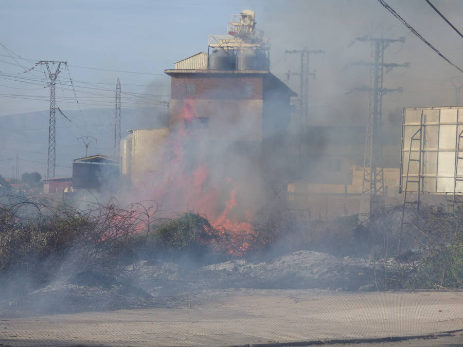 Un incendio de pastos obliga a cortar el tráfico en la carretera de Rosalejo