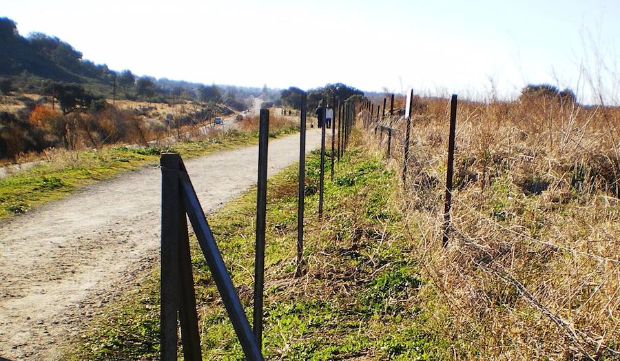 El 3 de abril, nueva fecha para iniciar las obras del carril bici a Millanes