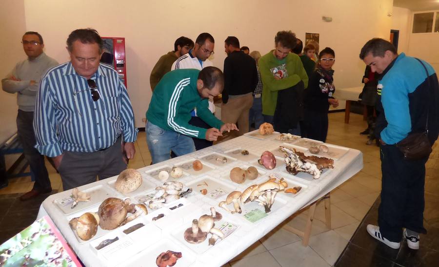 Un año más se repetirá la exposición de ejemplares 