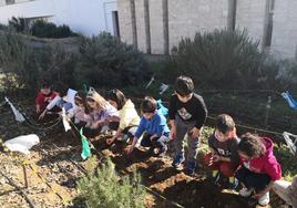 Niños trabajando en el huerto escolar.