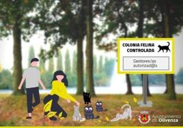 Olivenza continua con la campaña de control de colonias felinas para lo que podría recibir 50.250 euros