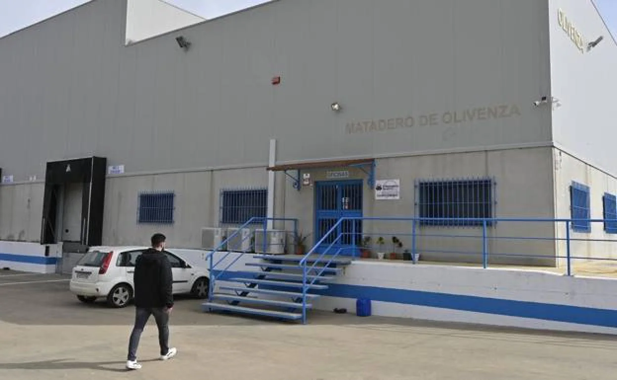 Una persona se dirige hacia el interior de las instalaciones del matadero de Olivenza, ayer, al mediodía. 