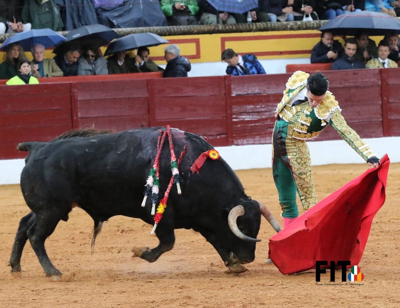 Olivenza volvió a vibrar con los toros a pesar de la lluvia inicial