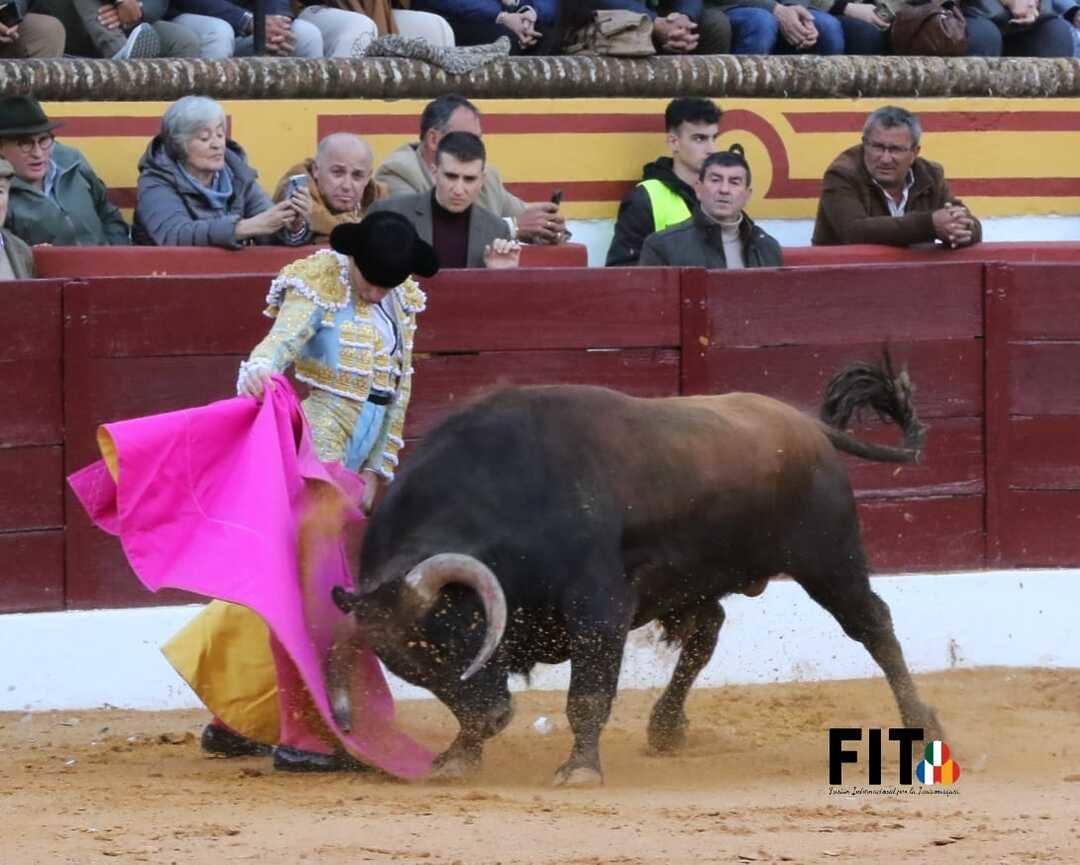 Olivenza volvió a vibrar con los toros a pesar de la lluvia inicial