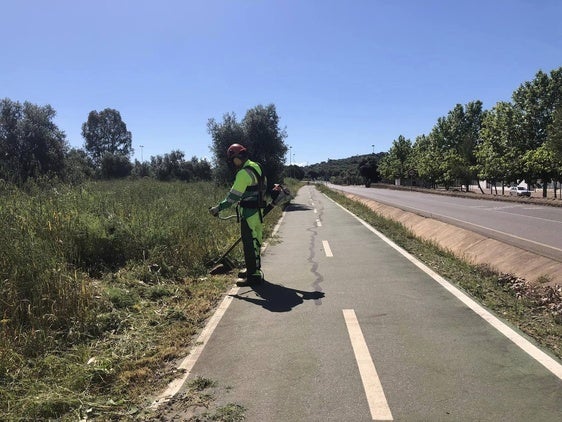 Comienzan el desbrozamiento del carril bici de la carretera de San Jorge