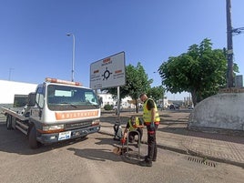 Los operarios se afanan en las labores de fumigación.