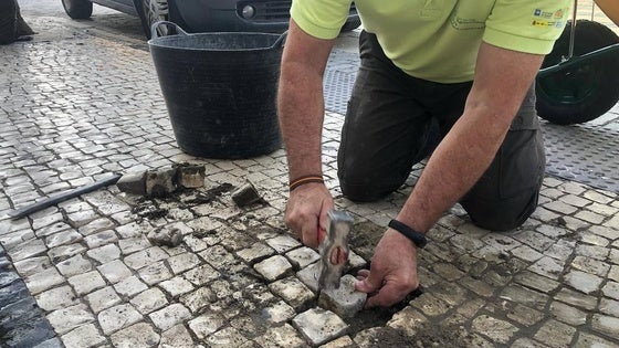 Los desperfectos de la calzadinha de los paseos se están reparando