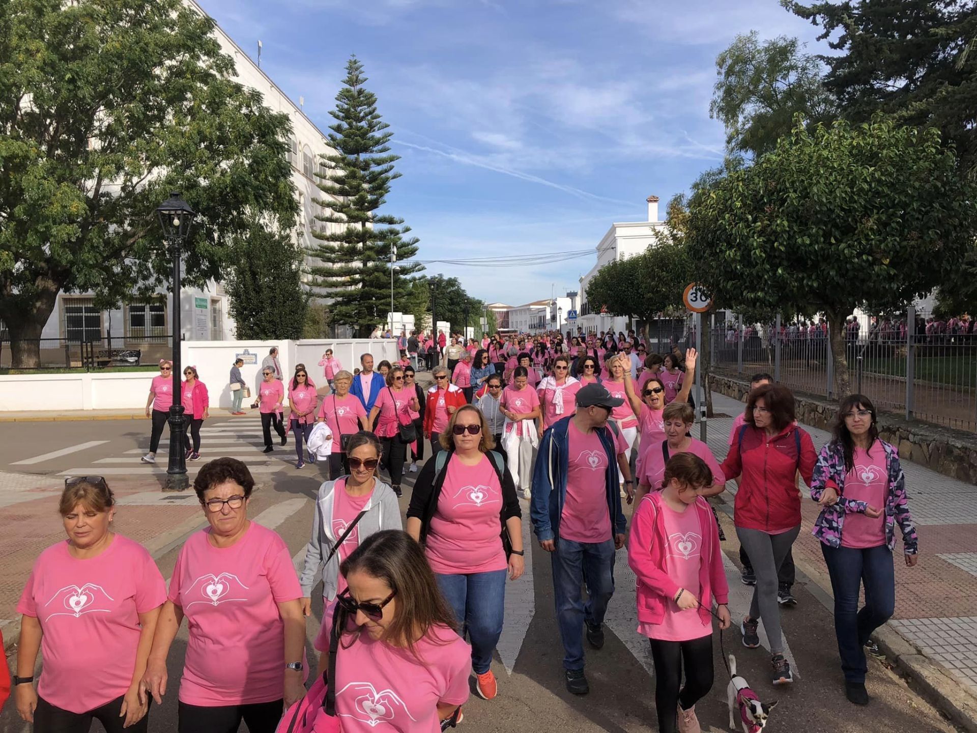 Un año más los ciudadanos se vuelcan con la marcha contra el cáncer de mama