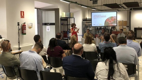 La Diputación realizó una jornada para fortalecer la digitalización del comercio rural