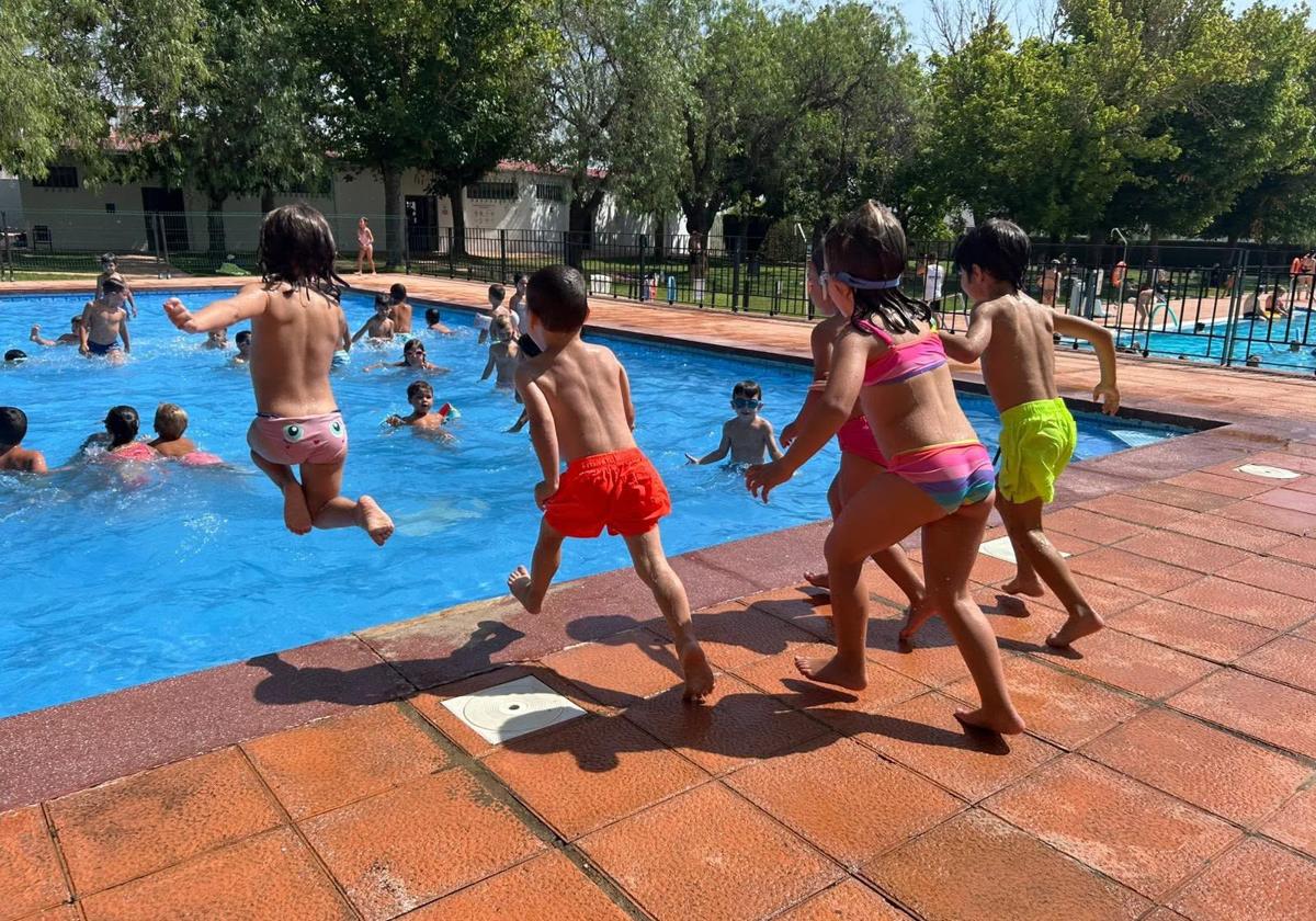 Los usuarios de los campamentos se refrescan en la piscina municipal.
