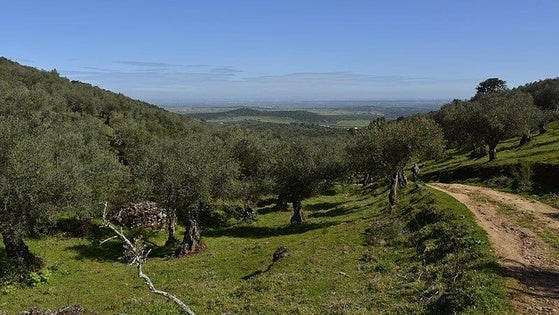 Licitada la asistencia técnica para la mejora y homologación de los senderos de la zona Llanos de Olivenza