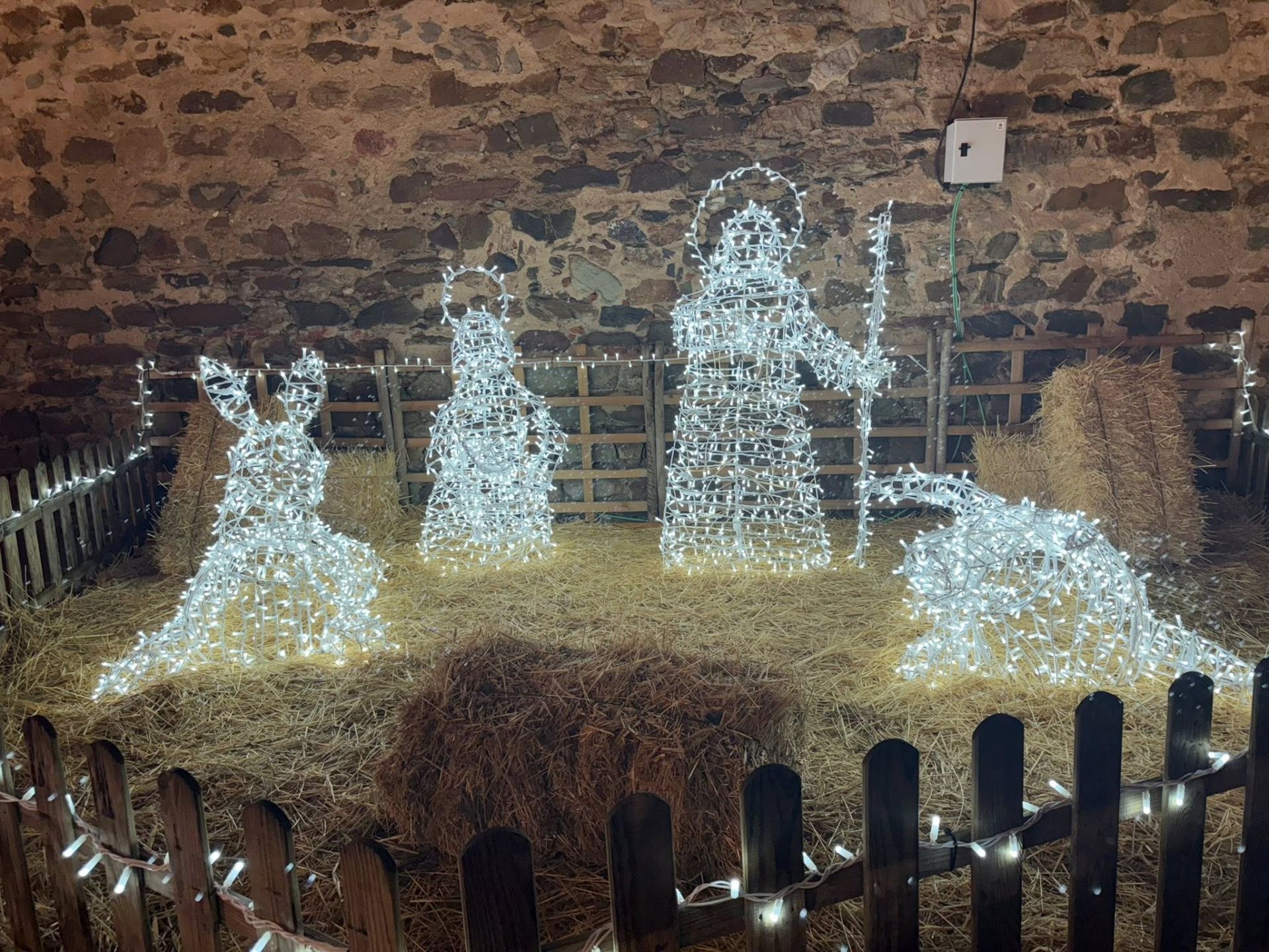 La ciudad arranca la programación navideña con las actividades del encendido