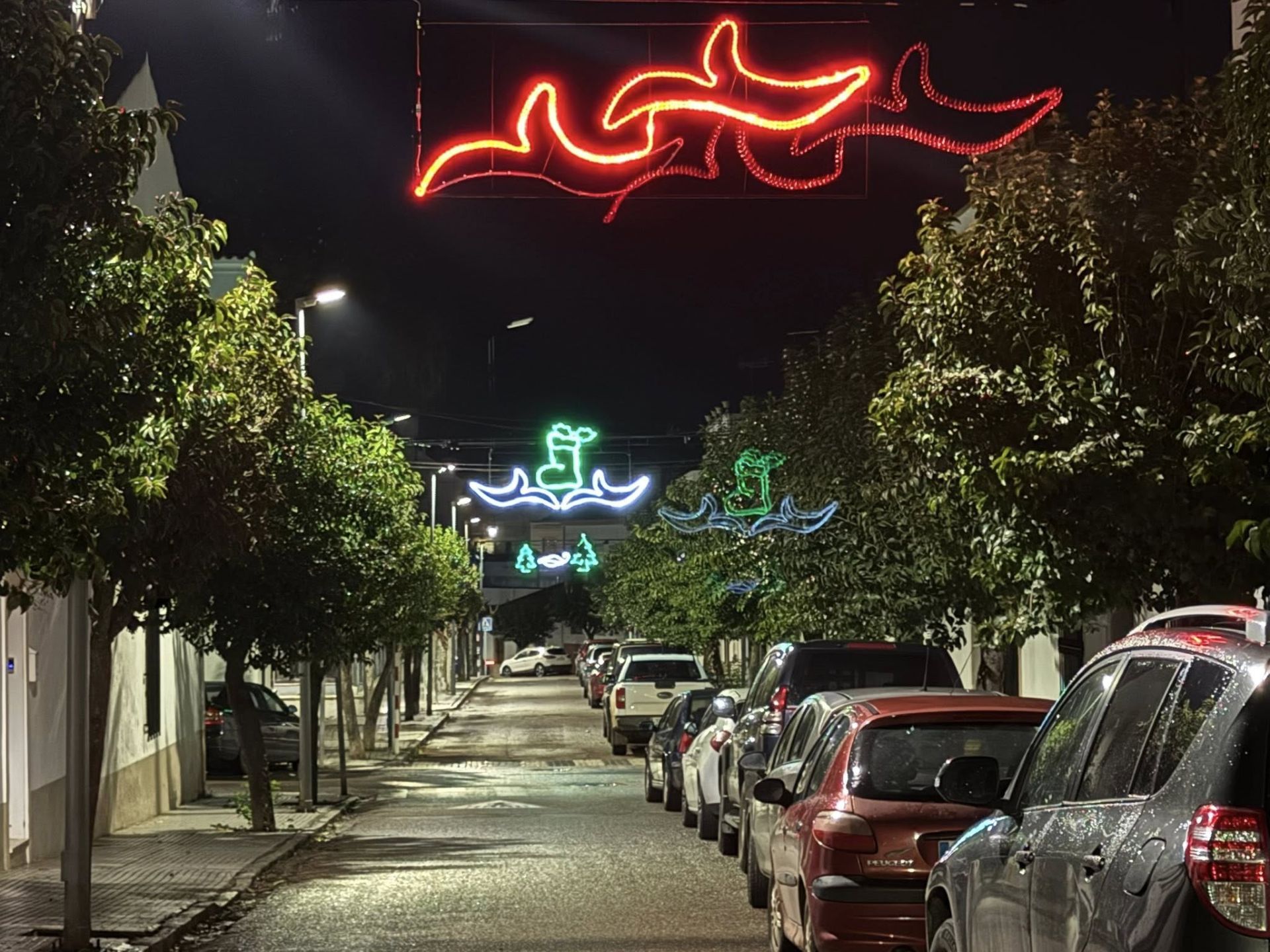 La ciudad arranca la programación navideña con las actividades del encendido