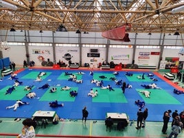 Los tatamis se llenaron de judokas en las diferertes pruebas celebradas.