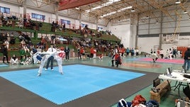 Olivenza acoge el Campeonato de Extremadura de Taekwondo Cadete y Junior clasificatorio para el Nacional