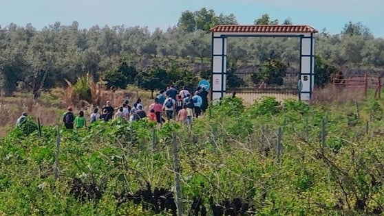San Jorge celebra la V Ruta Senderista Sierra de Alor con dos circuitos distintos