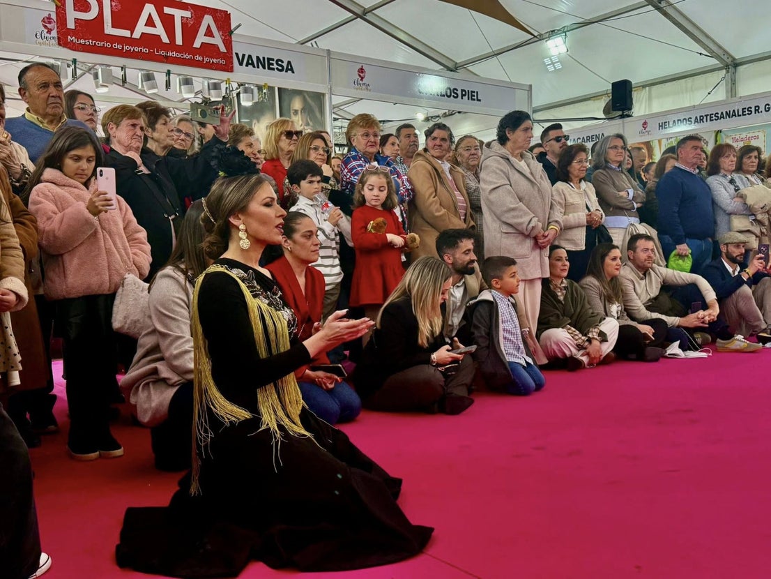 La exhibición del grupo de baile 'Aire Flamenco' encandiló al público