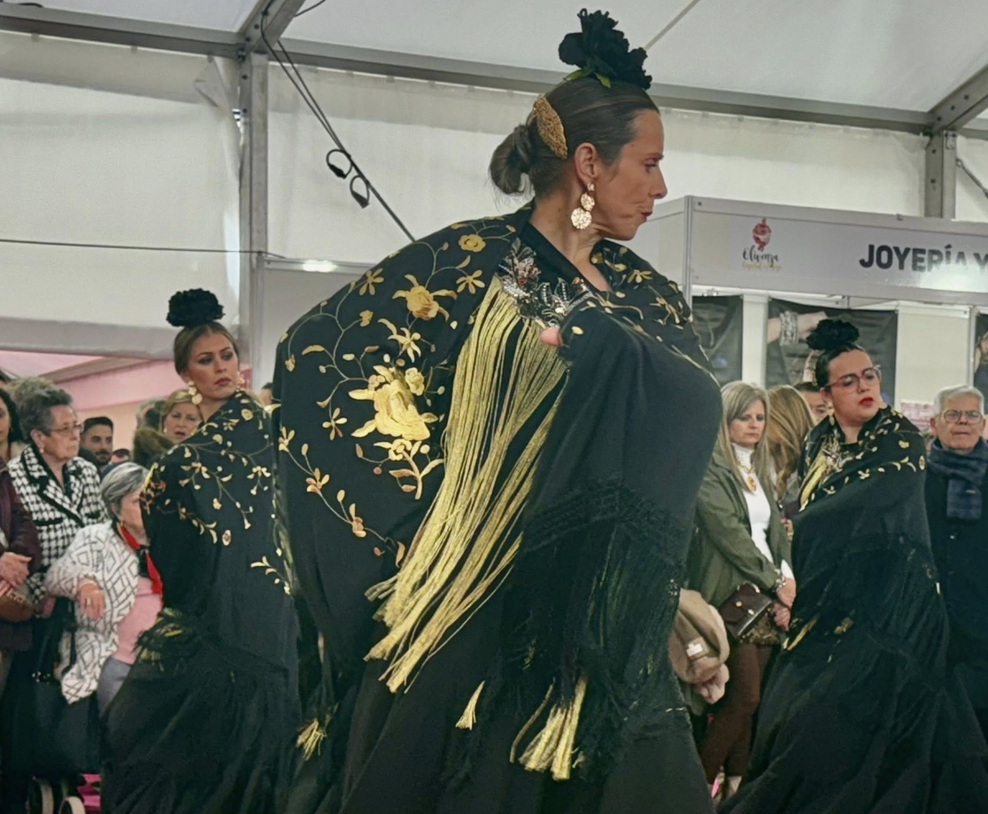 La exhibición del grupo de baile 'Aire Flamenco' encandiló al público