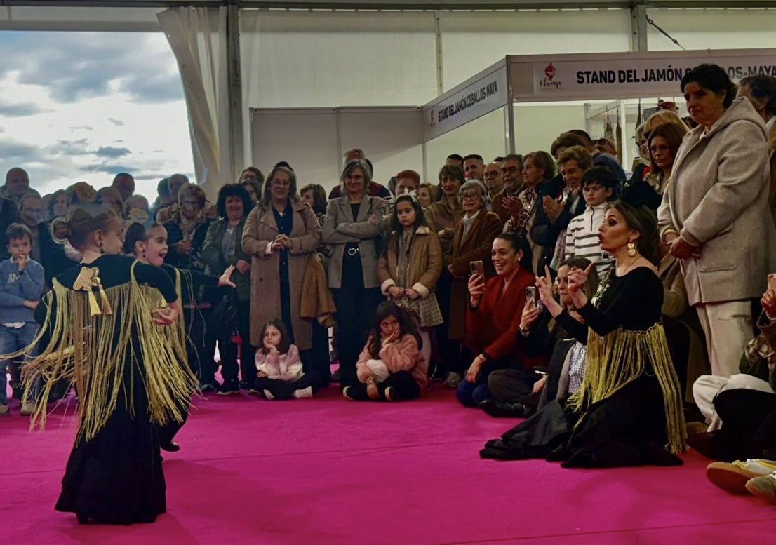 La exhibición del grupo de baile 'Aire Flamenco' encandiló al público