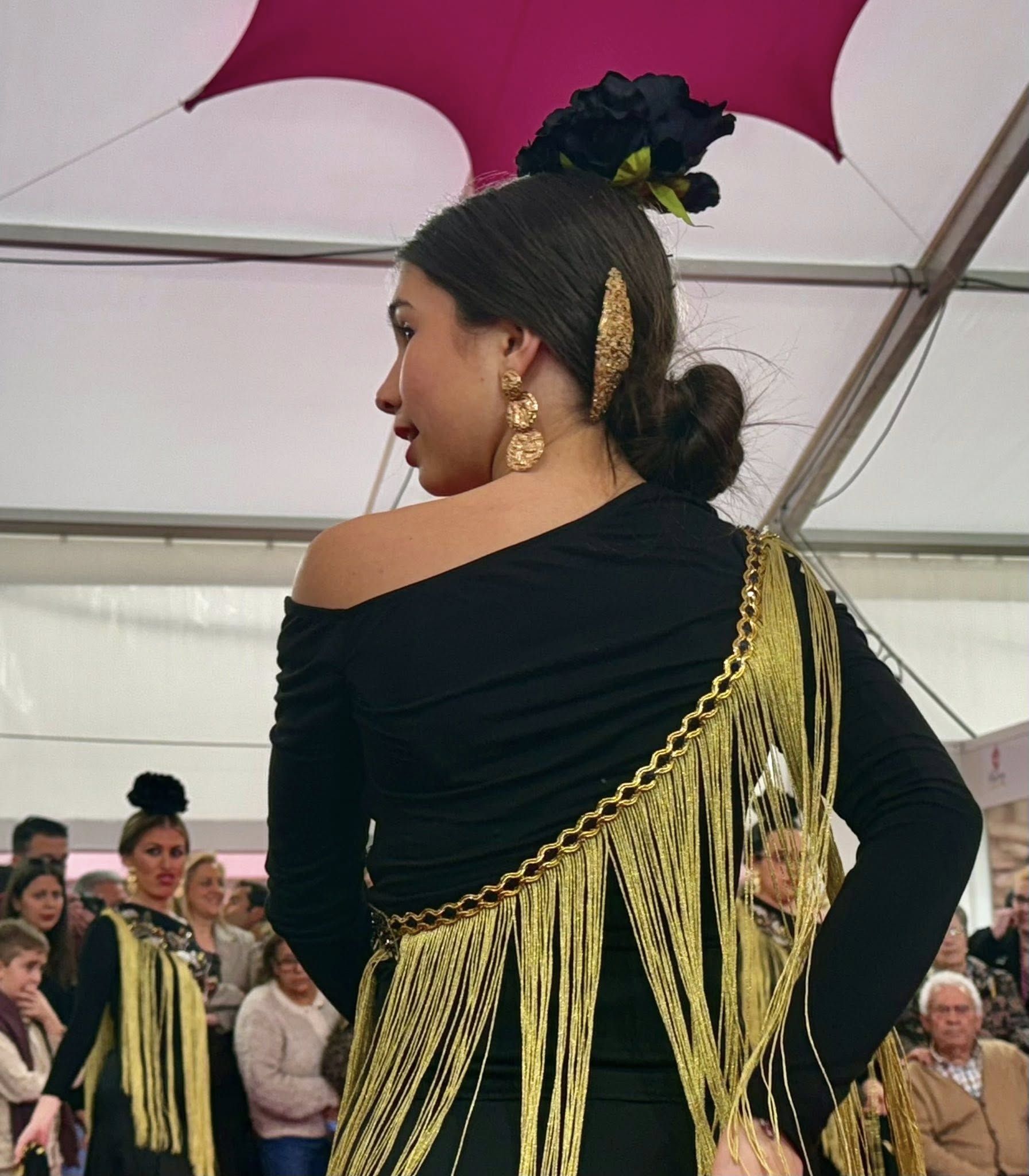 La exhibición del grupo de baile 'Aire Flamenco' encandiló al público