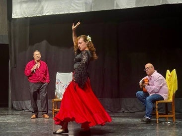 El flamenco en todas sus facetas cautivó al público oliventino