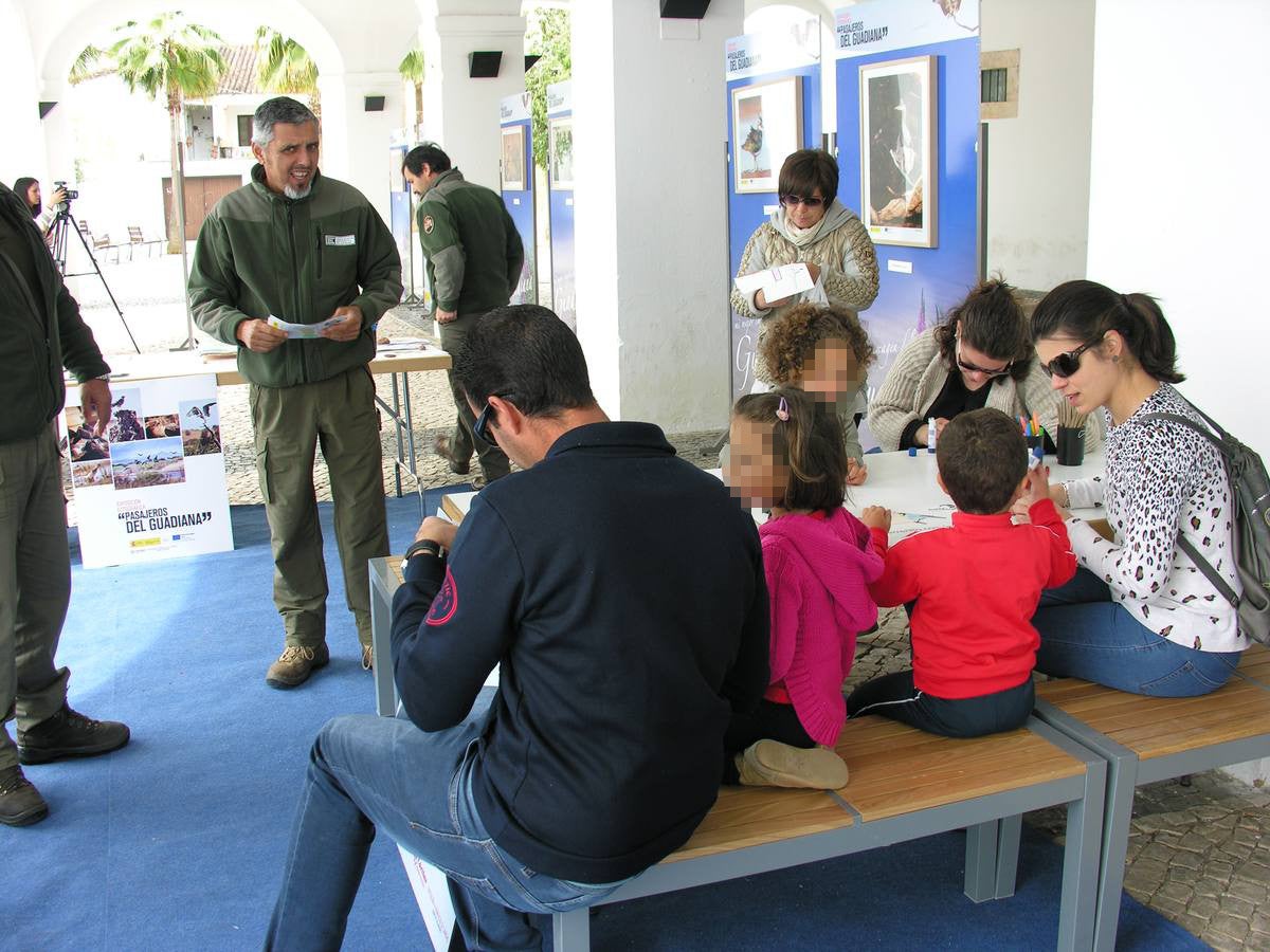 Zona de actividades infantiles. 