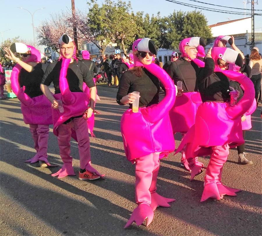 Con una tarde verdaderamente primaveral y de forma puntual se celebró ayer, sábado 2 de marzo, el Desfile de Comparsas en Puebla de la Calzada con gran afluencia de público de la localidad y de pueblos de la comarca para disfrutar con las ingeniosas propuestas ideadas por los carnavaleros de las comparsas, grupos y personas independientes disfrazadas.Una vez finalizado el recorrido en la Plaza de España se procedió a una exhibición de las coreografías de los dos buques insignia del carnaval poblanchino; La Kochera y Vas Como Quieres y finalmente se celebró el concurso con el siguiente resultado:Mejor disfraz individual: Frank de la JunglaMejor disfraz por parejas: Las MonjasMejor grupo pequeño: Los MasaisLos grupos premiados han resultado ser:1. PREMIO: Los amiguitos2. PREMIO: Las Fantásticas3. PREMIO: Había Una Vez4. PREMIO: La Legión al Cielo5. PREMIO: Los Leles