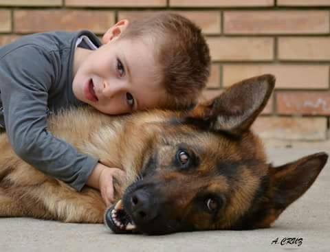 Comienza el curso infantil de adiestramiento canino en Puebla de la Calzada.