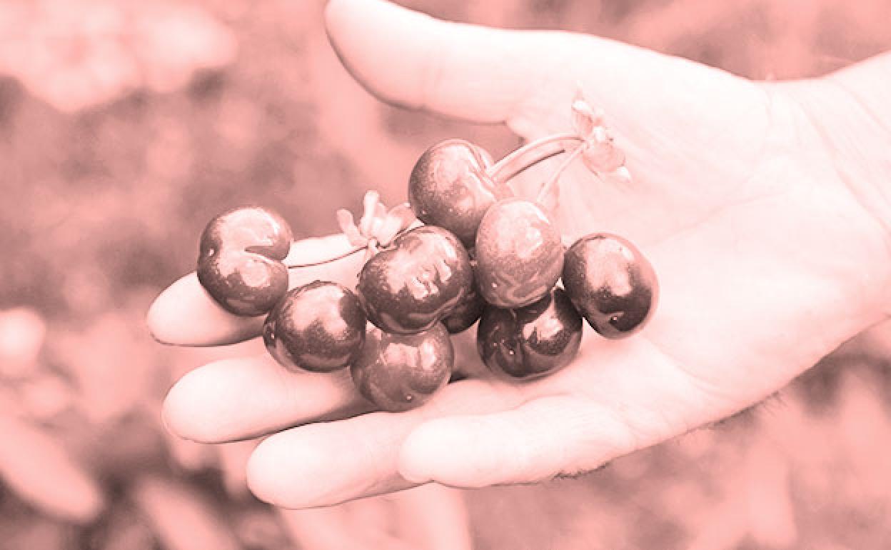 El sector no será competitivo sin un desarrollo sostenible