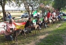 El campeonato se celebró en el merendero muncipal 