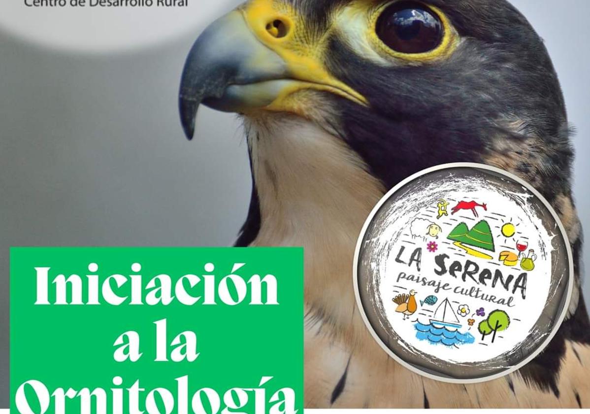 Se abre el plazo para el curso de «Iniciación a la Ornitología»