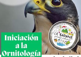 Se abre el plazo para el curso de «Iniciación a la Ornitología»