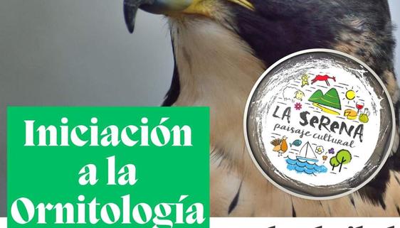 Se abre el plazo para el curso de «Iniciación a la Ornitología»